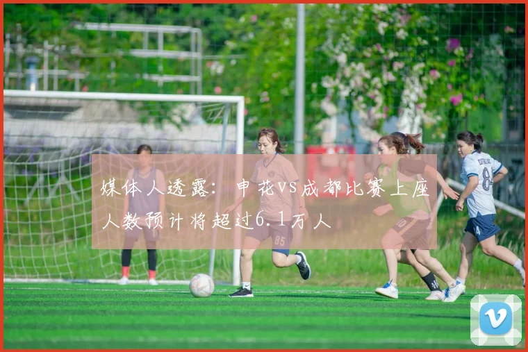 媒体人透露:申花vs成都比赛上座人数预计将超过6.1万人