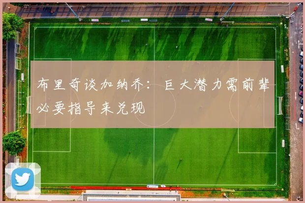 布里奇谈加纳乔:巨大潜力需前辈必要指导来兑现